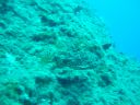 DSC00187.JPG