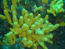 DSC00192.JPG