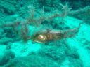 DSC00194.JPG