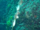 DSC00196.JPG