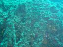 DSC00198.JPG