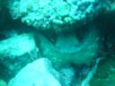 DSC00211.JPG