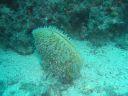 DSC00216.JPG