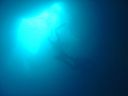 DSC00218.JPG