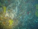 DSC00222.JPG