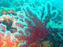 DSC00229.JPG