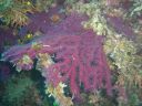 DSC00232.JPG
