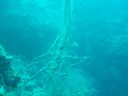 DSC00234.JPG