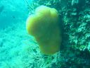 DSC00259.JPG