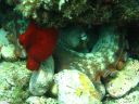 IMG_3855.jpg