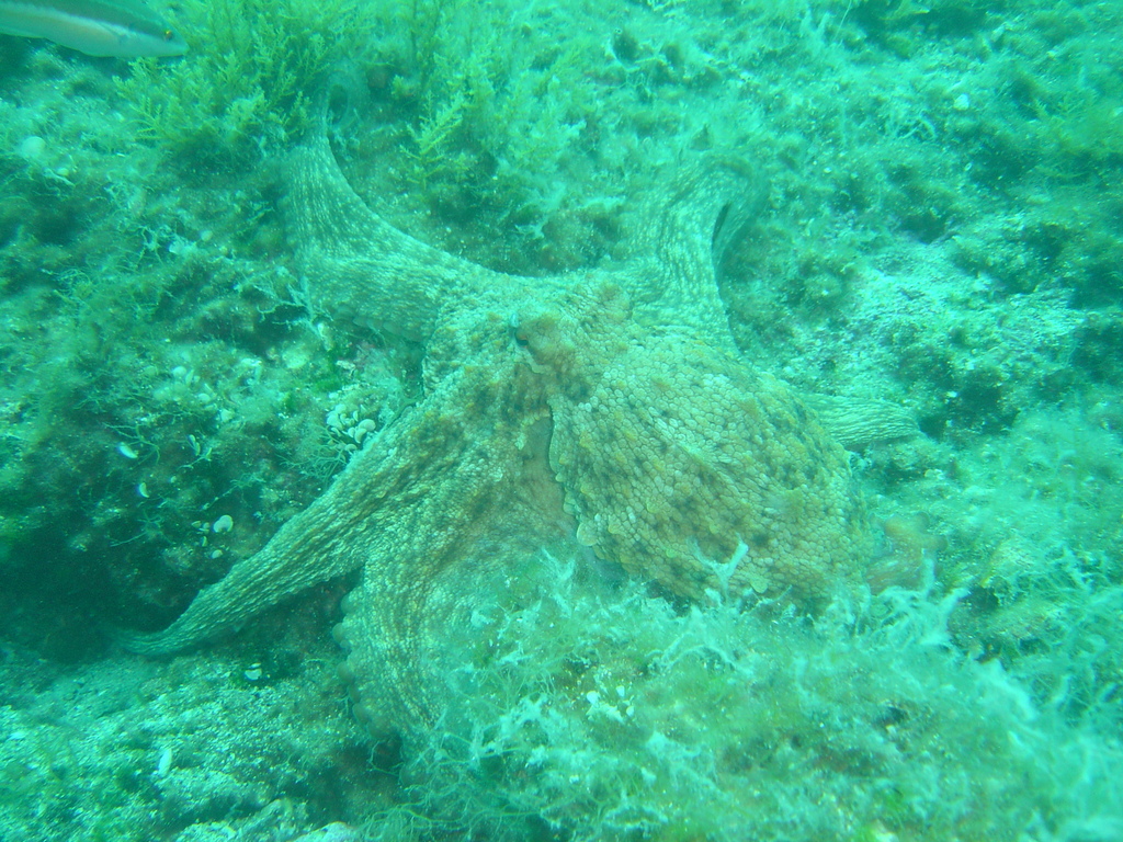 DSC00007.JPG