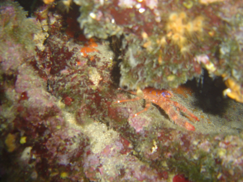 DSC00011.JPG
