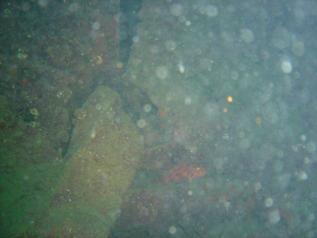 DSC00042.JPG