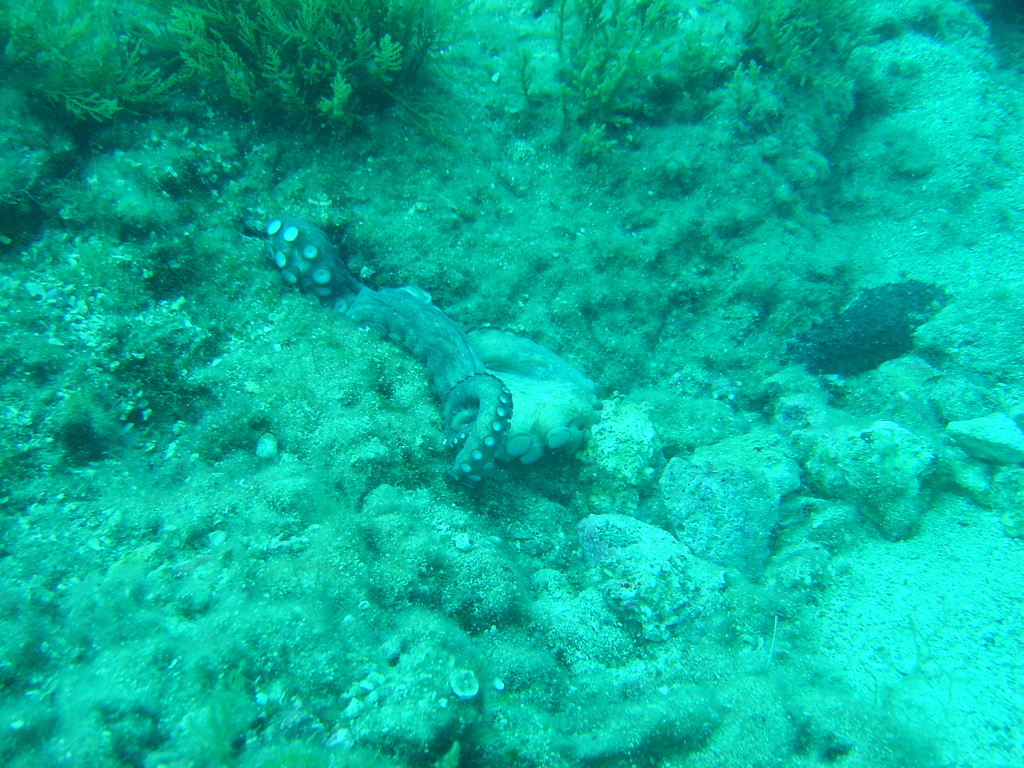 DSC00056.JPG