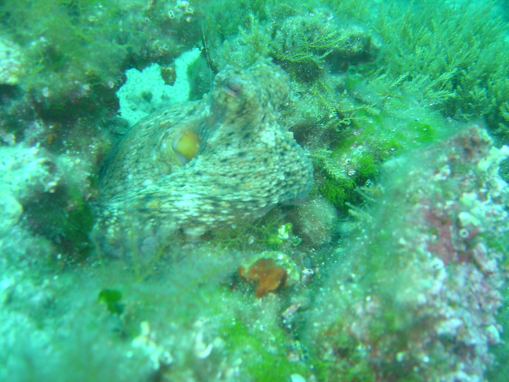 DSC00070.JPG