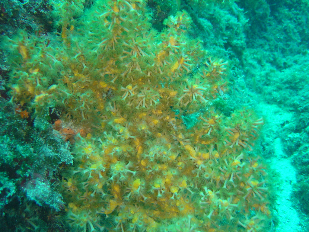 DSC00074.JPG