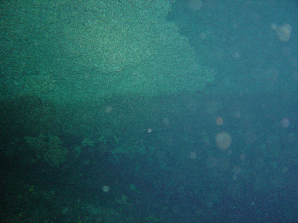 DSC00084.JPG