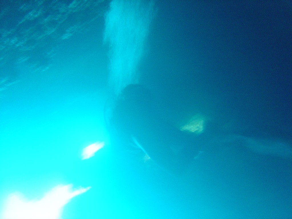 DSC00090.JPG