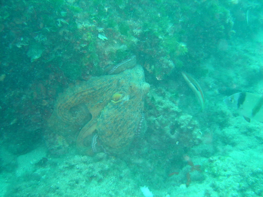 DSC00093.JPG