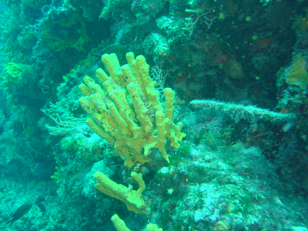 DSC00097.JPG