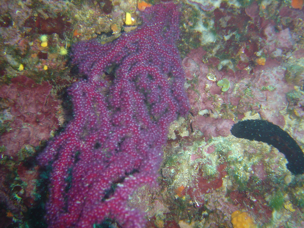 DSC00100.JPG