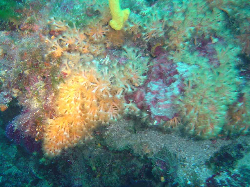 DSC00104.JPG
