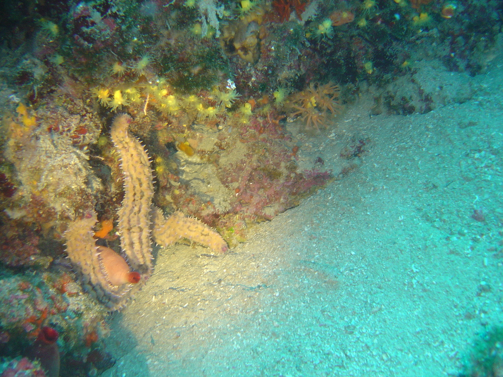 DSC00105.JPG
