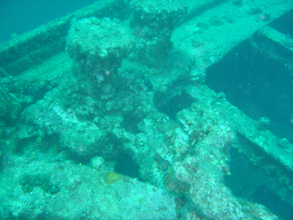 DSC00126.JPG