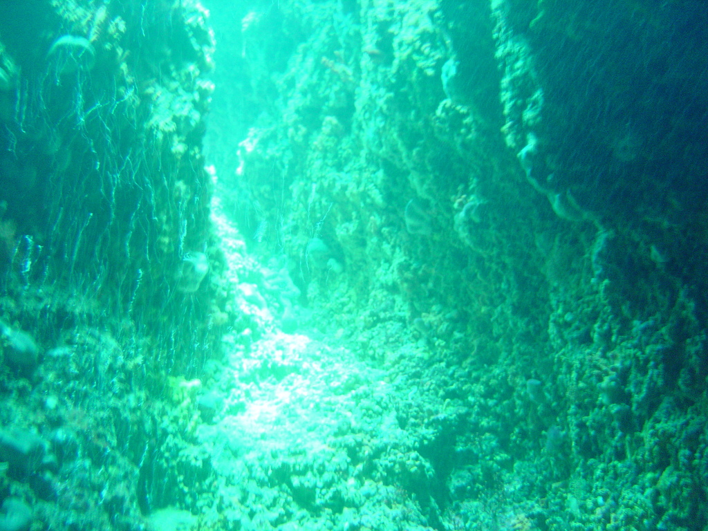DSC00144.JPG