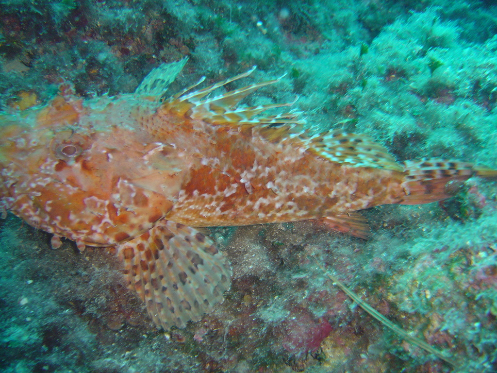 DSC00156.JPG