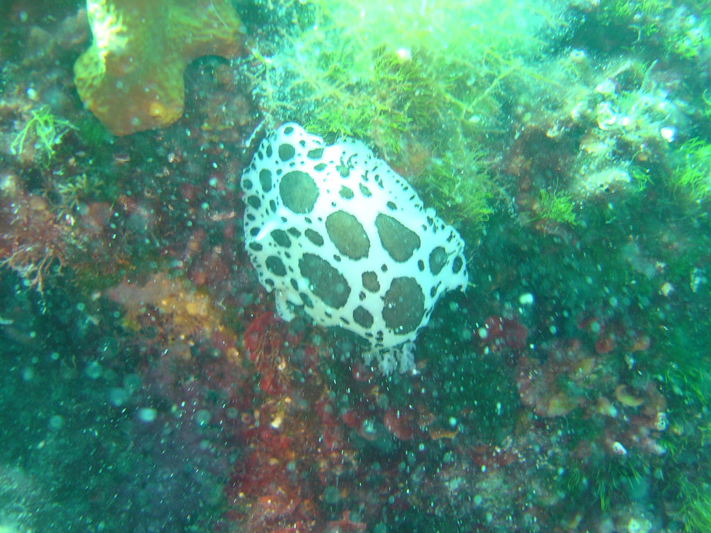 DSC00163.JPG