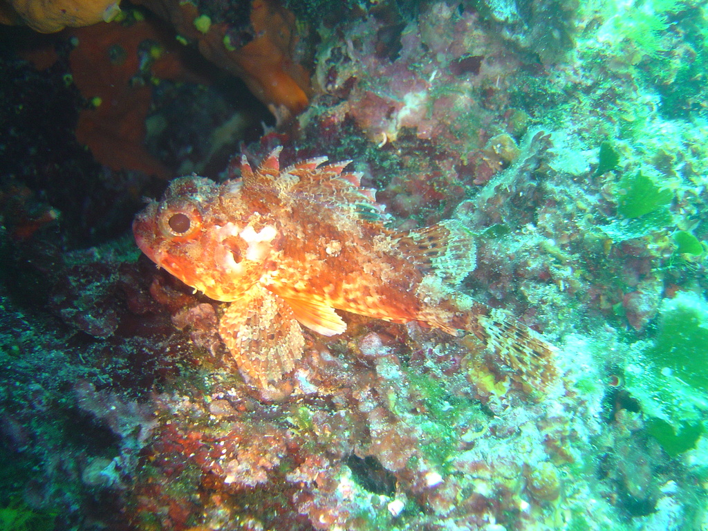 DSC00234.jpg