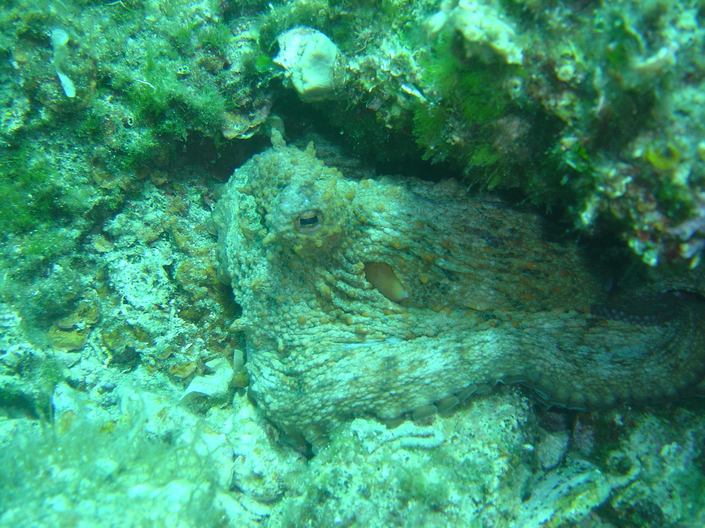 DSC00237.jpg