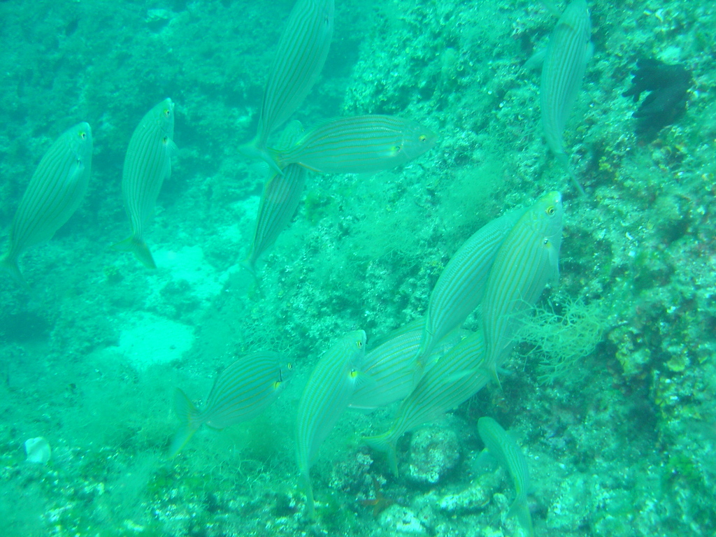 DSC00255.jpg
