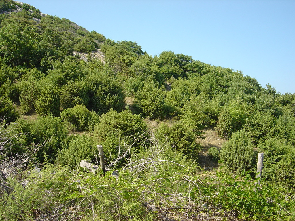 DSC00292.jpg