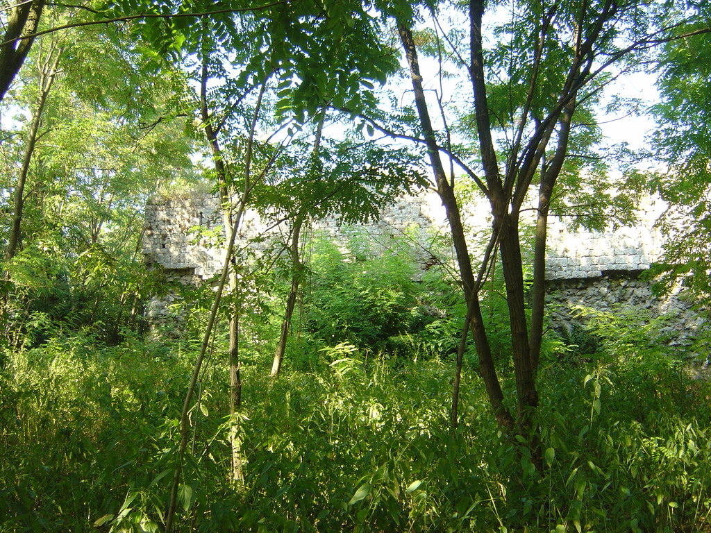 DSC00294.jpg