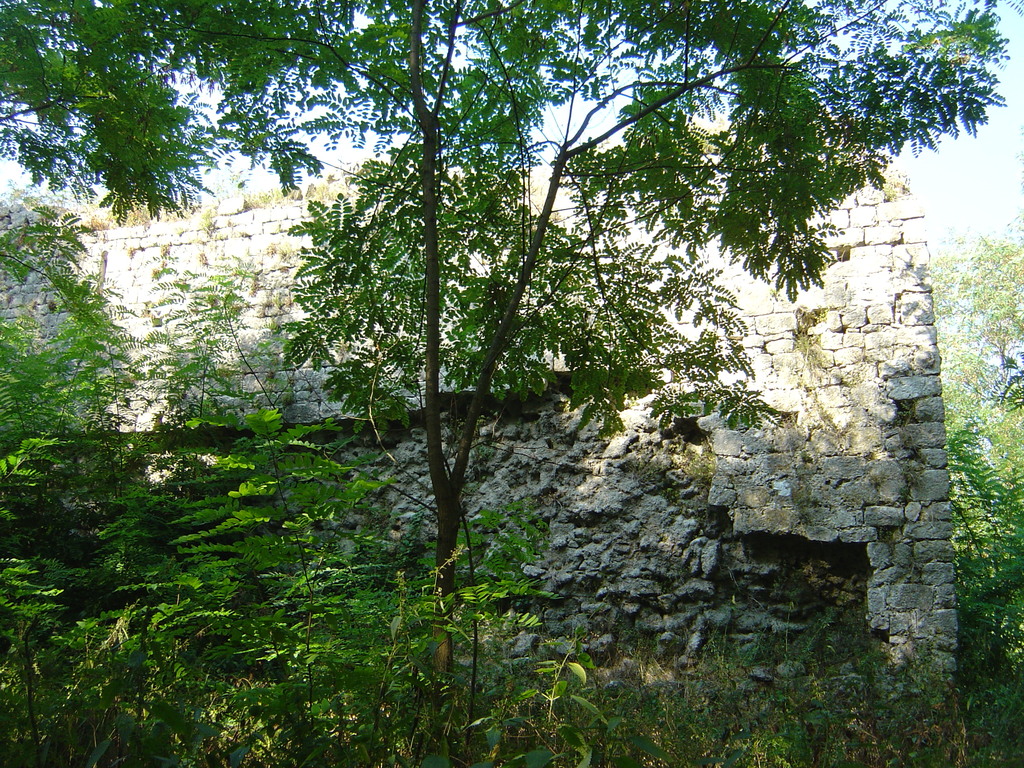 DSC00295.jpg