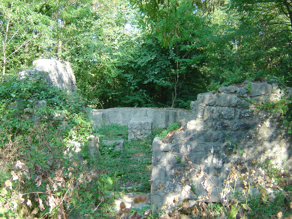 DSC00296.jpg