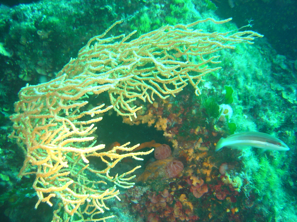 DSC00317.jpg