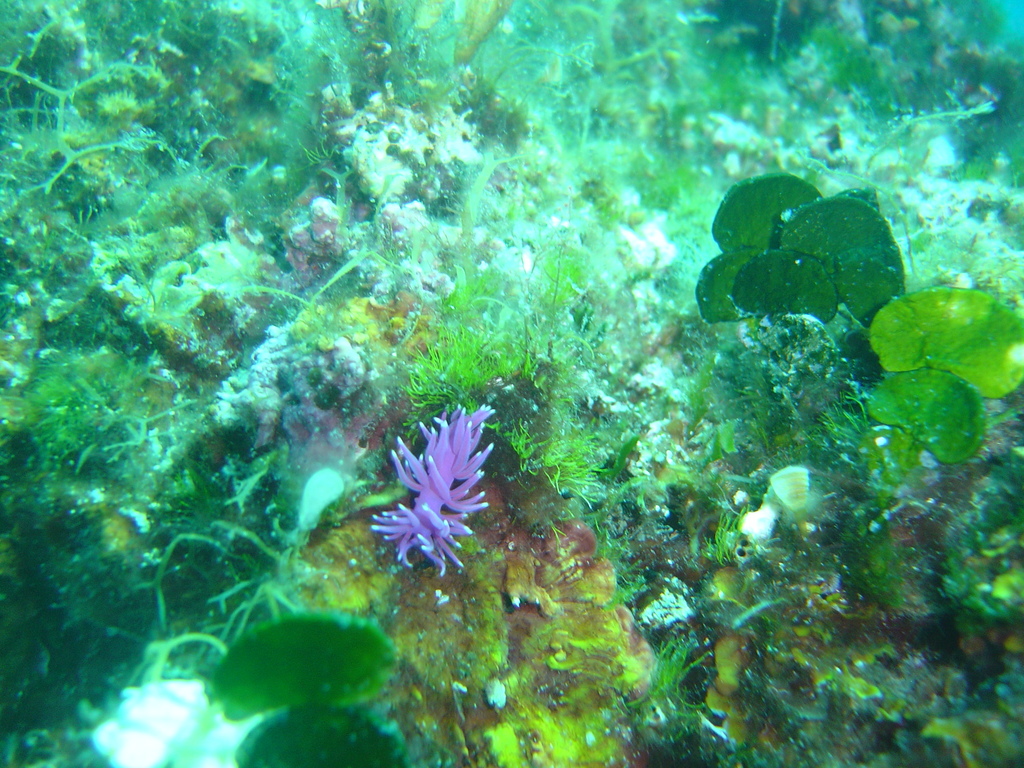 DSC00347.jpg