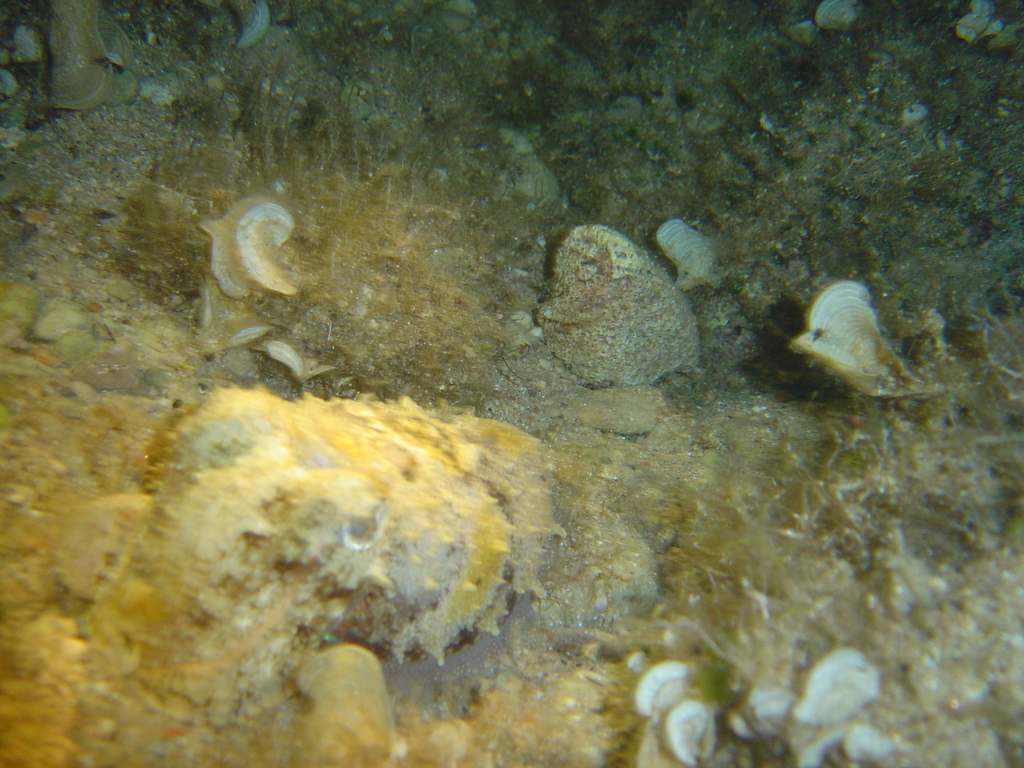 DSC00354.jpg