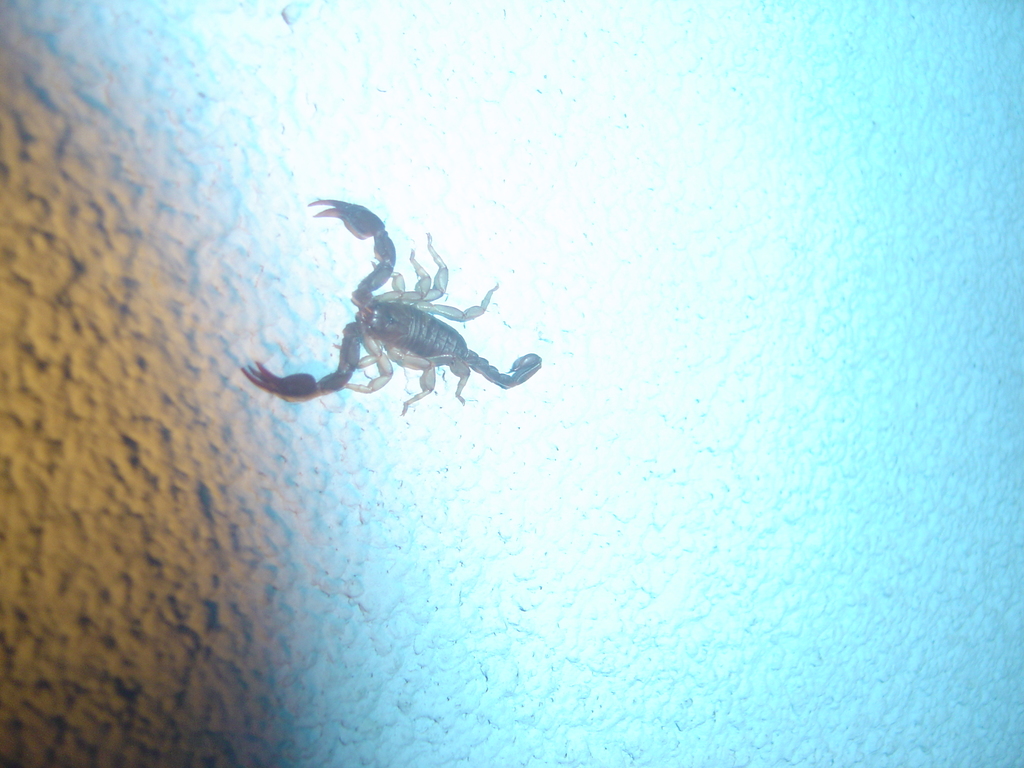 DSC00359.jpg