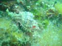 DSC00017.JPG