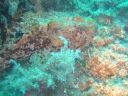 DSC00019.JPG