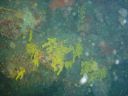 DSC00025.JPG