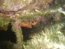 DSC00048.JPG