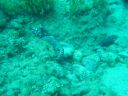 DSC00056.JPG