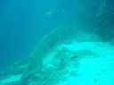 DSC00057.JPG