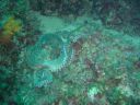 DSC00062.JPG