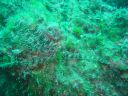 DSC00065.JPG